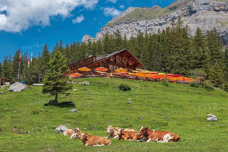 Mountain lodge Oeschinensee at Oeschinensee