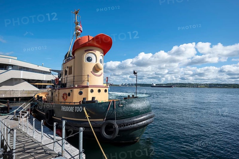 Theodore Too