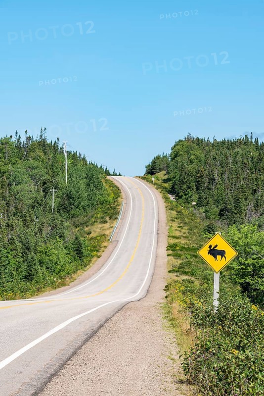 Road sign warns of crossing moose