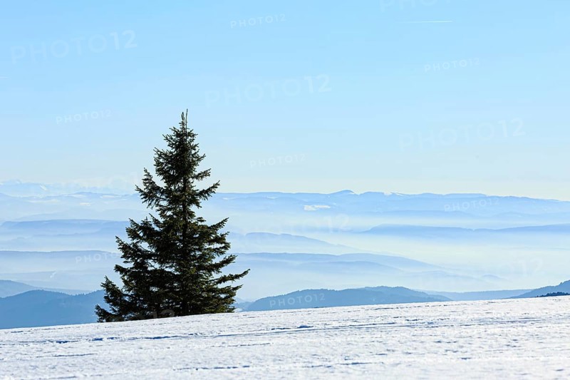 View from the snow-covered summit of the Belchen to mountain ranges and alpine chain Black Forest