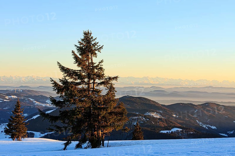 Evening atmosphere at the wintery summit of the Belchen at sunset