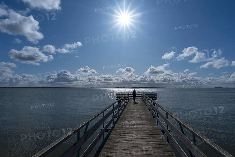 Pier at the Bodden in backlight