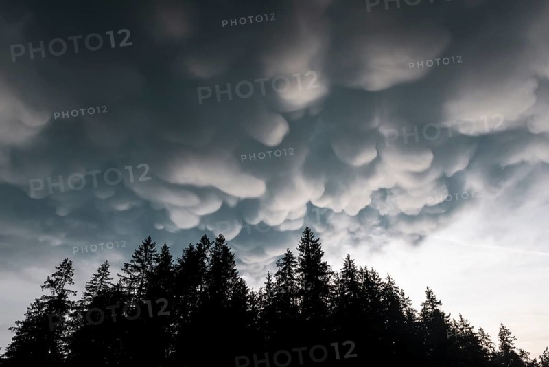 Mammoth clouds