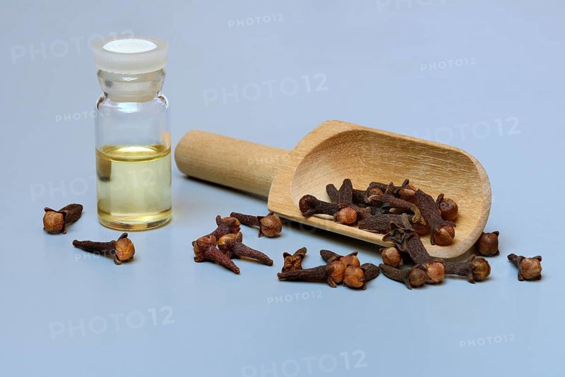 Bottle of clove oil and cloves on wooden spoon