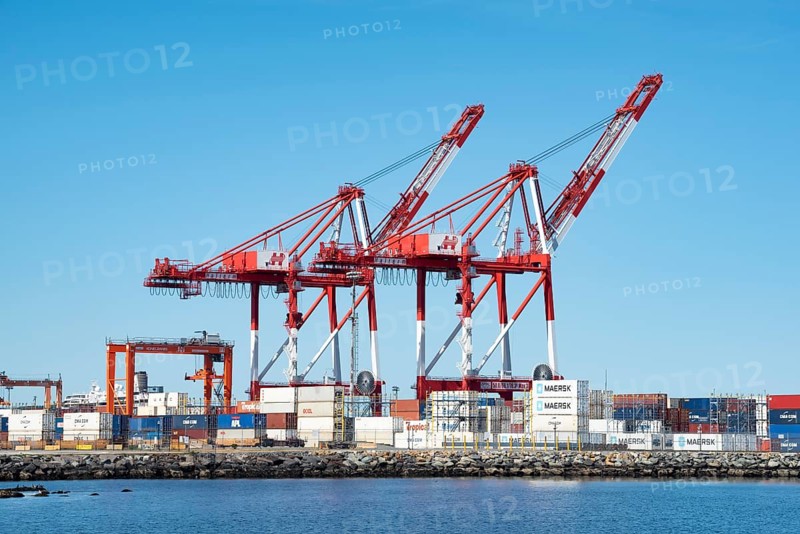 Two container gantry cranes in the cargo port