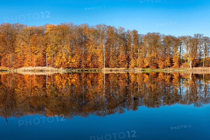 Autumn at Lake Schweingartensee