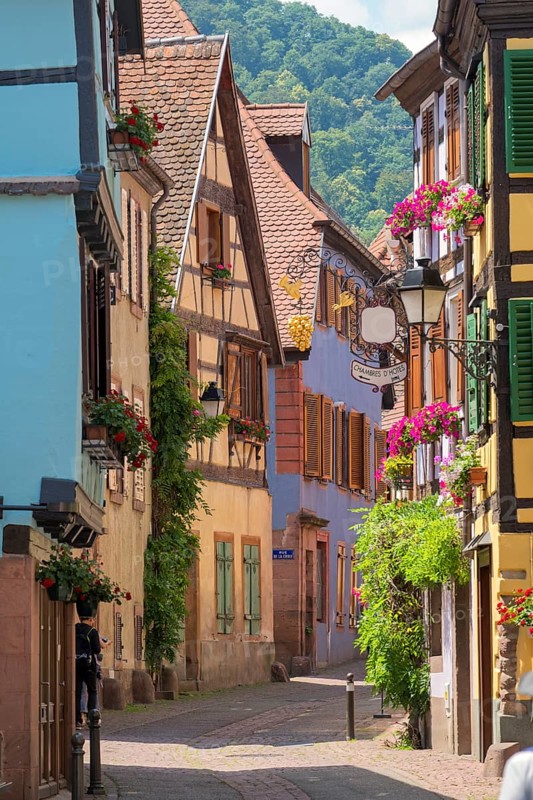 Alley with historic houses