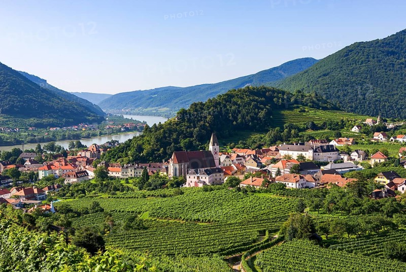 Vineyards