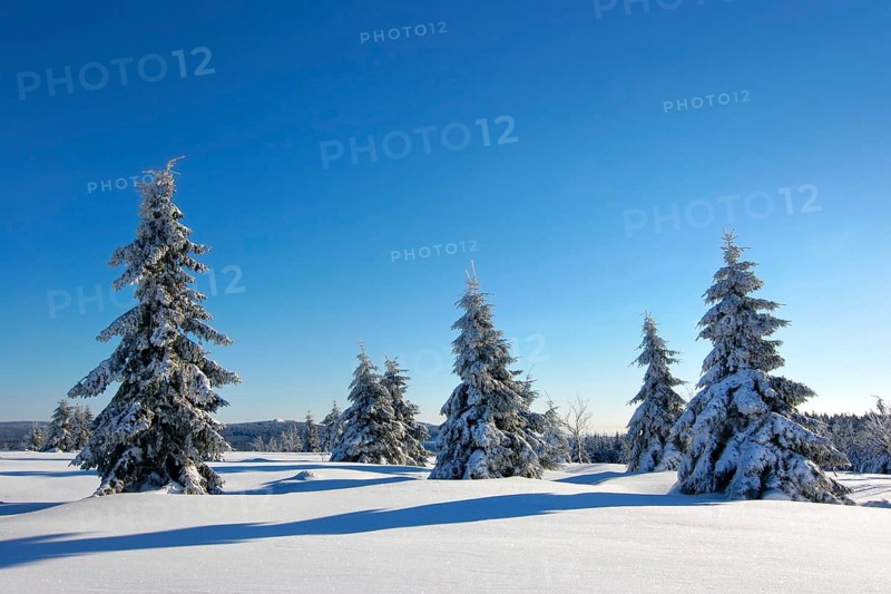 Snowy untouched winter landscape