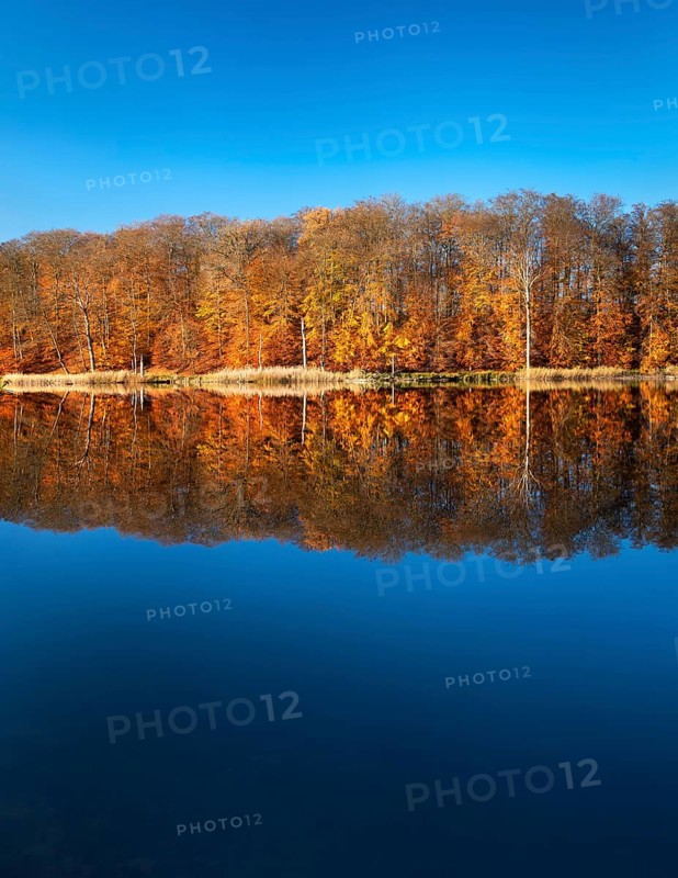 Autumn at Lake Schweingartensee