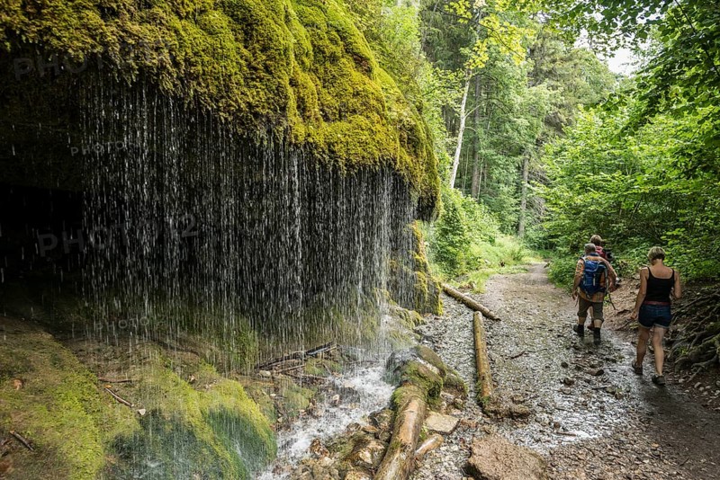 Hikers