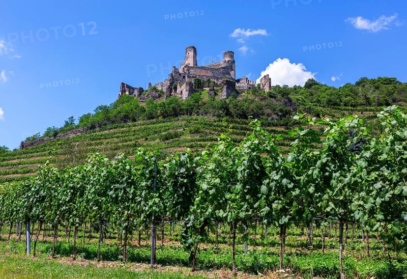 Wine-growing region
