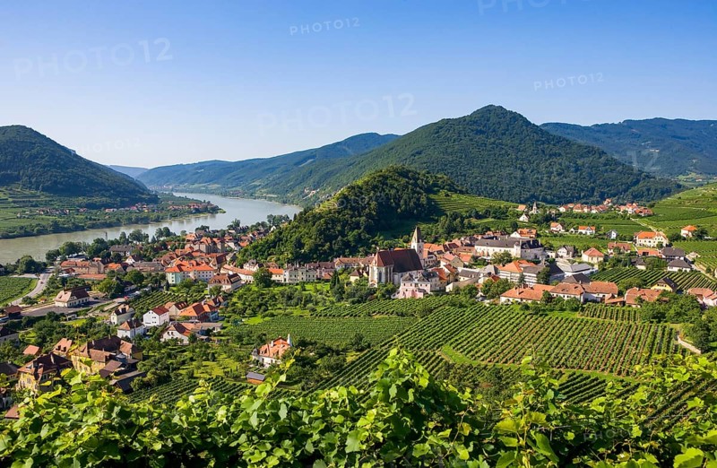Vineyards