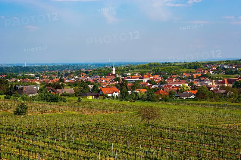 Vineyards