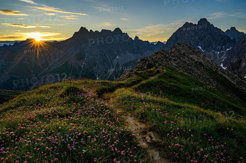 Mountain path with flower meadow at sunrise in mountain landscape