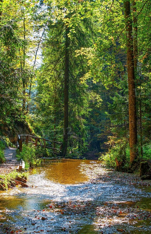 Mill hiking trail near Ebenau