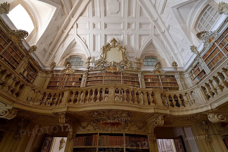 Gallery in the library with historical books