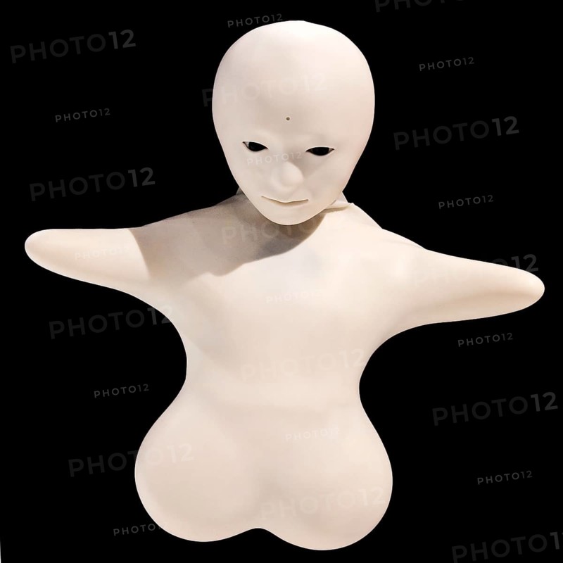 Telenoid R1