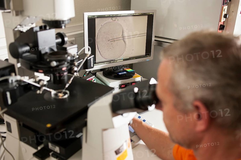 Artificial insemination of a human ovum
