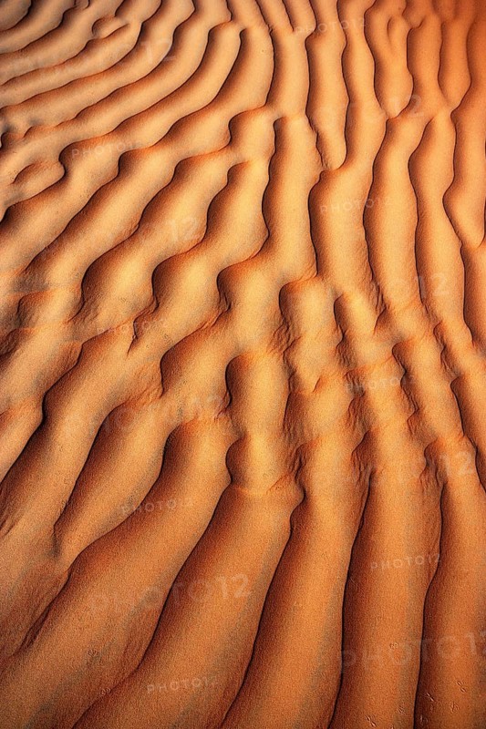 Wave structure