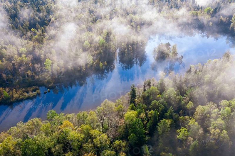 Wafts of mist over forest and pond