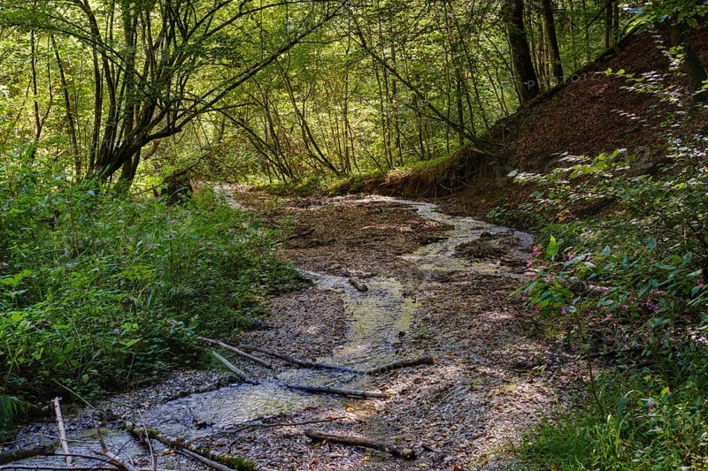Brook in the nature reserve Innleite