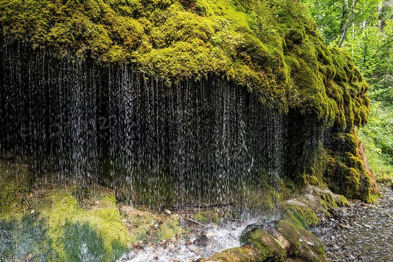 Moss covered rocks at the waterfall