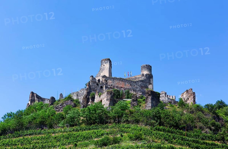 Wine-growing region