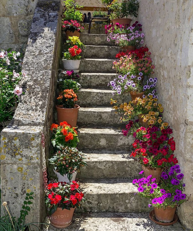 Flower pots on stairs with colourful flowers