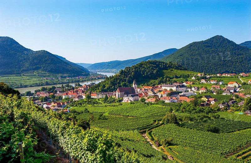 Vineyards