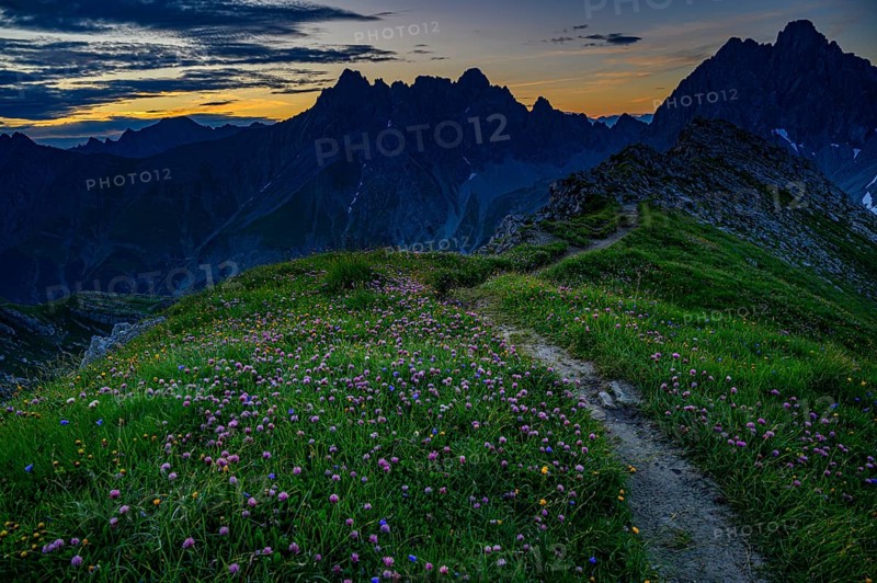 Mountain path with flower meadow at sunrise in mountain landscape