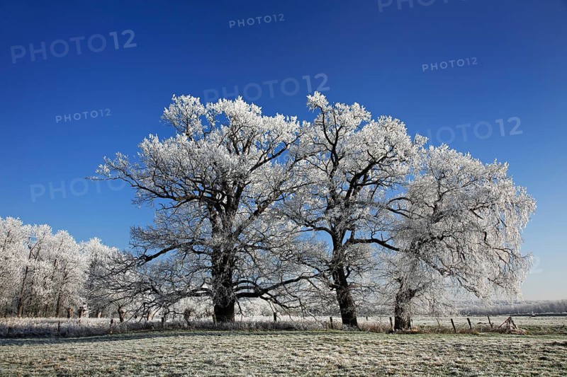 Winter landscape with hoarfrost