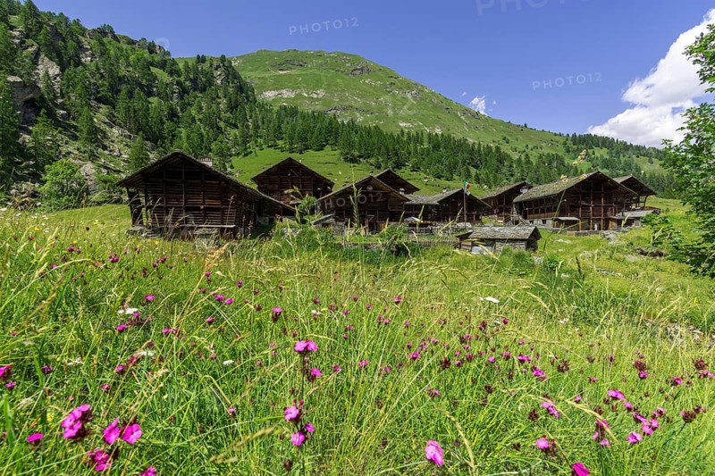 Typical Walser farmhouses in the village of Otro