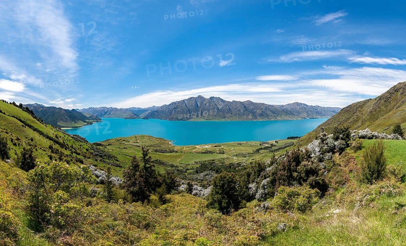 Lake Hawea and mountain panorama