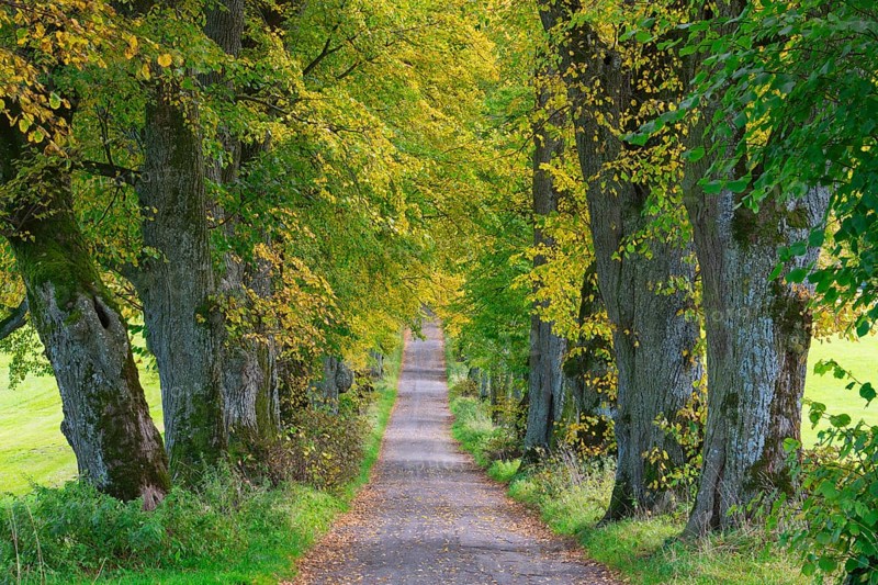 Kurfuerstenallee