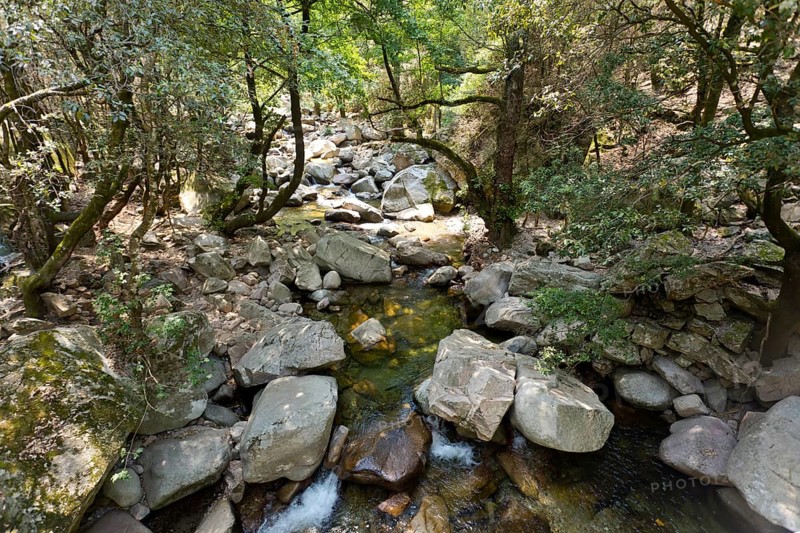 Brook in the Spelunca Gorge