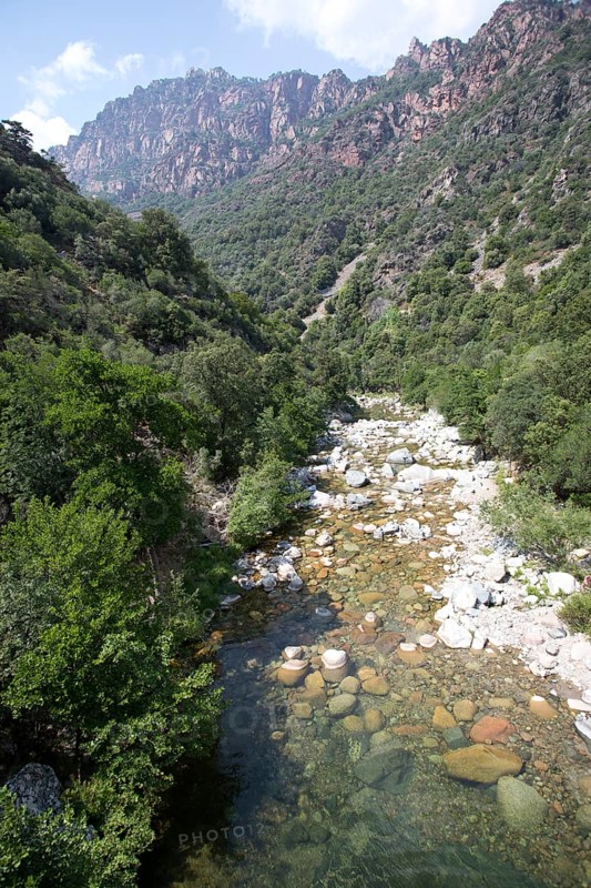 Mountain stream in the Spelunca Gorge