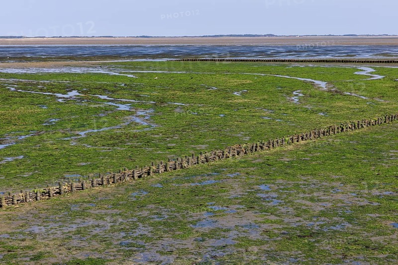Wadden Sea at low tide on Amrum Island
