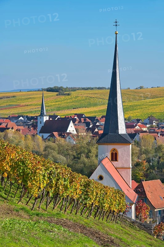 Escherndorf near Volkach