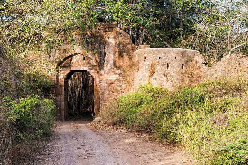 Ranthambhore fort