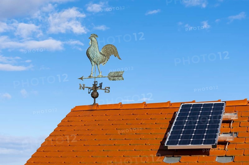 Weathercock with compass rose