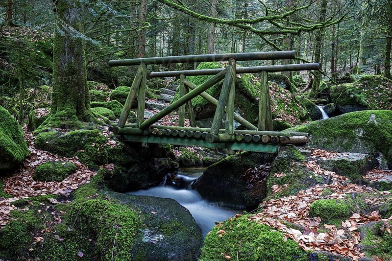 Wooden bridge over Gertelbach