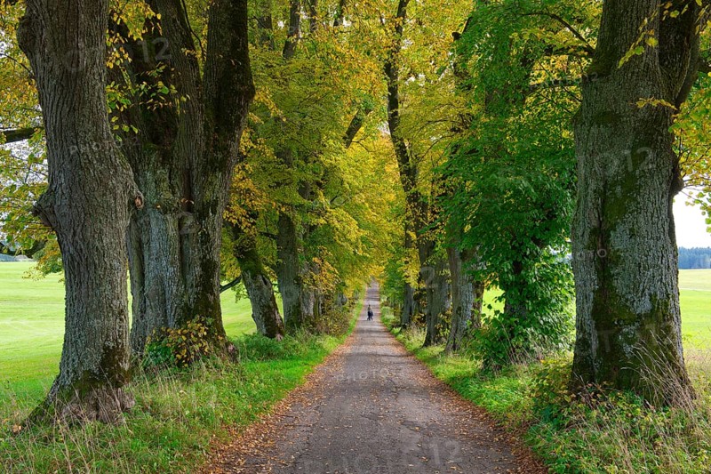 Kurfuerstenallee