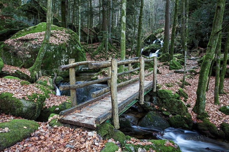 Wooden bridge over Gertelbach
