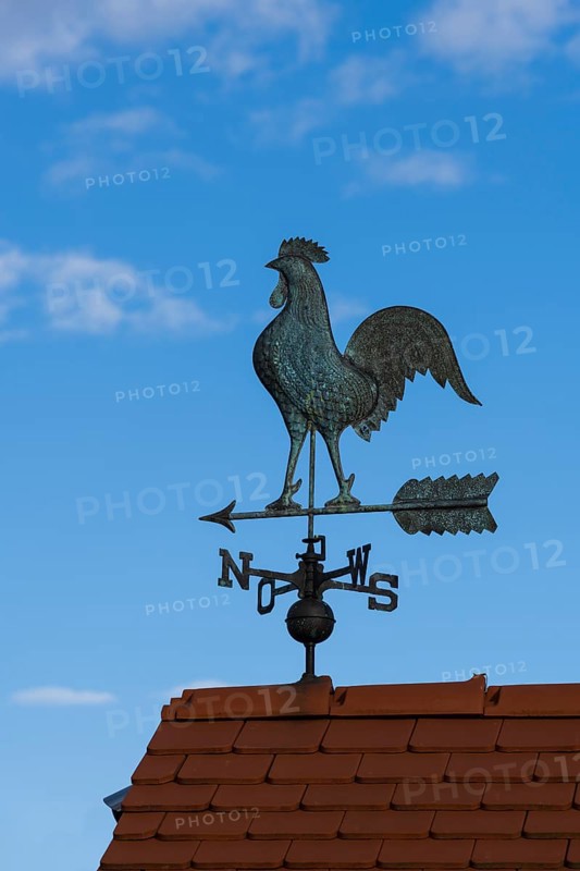 Weathercock with compass rose