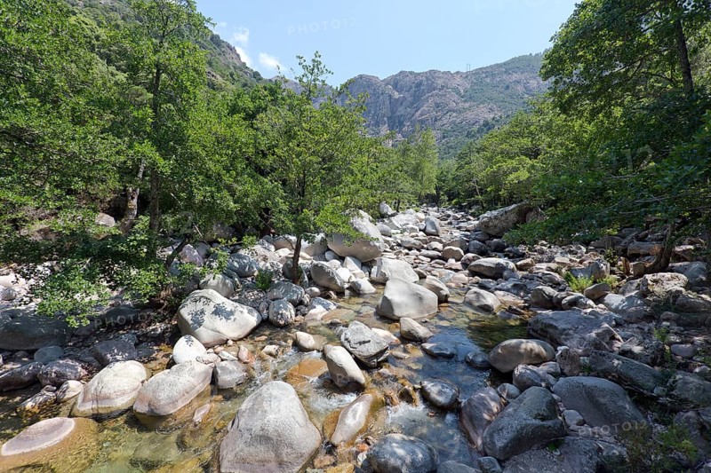 Mountain stream near the Spelunca gorge