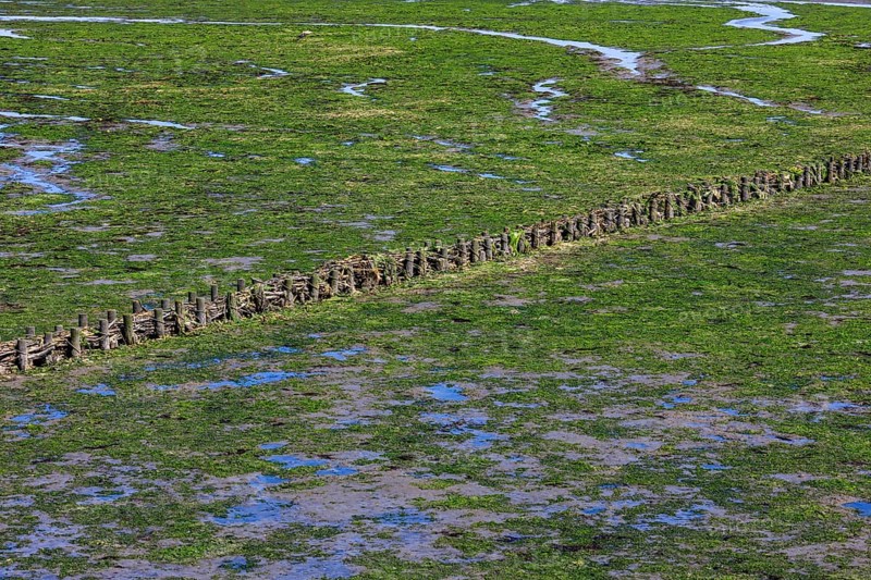 Wadden Sea at low tide on Amrum Island