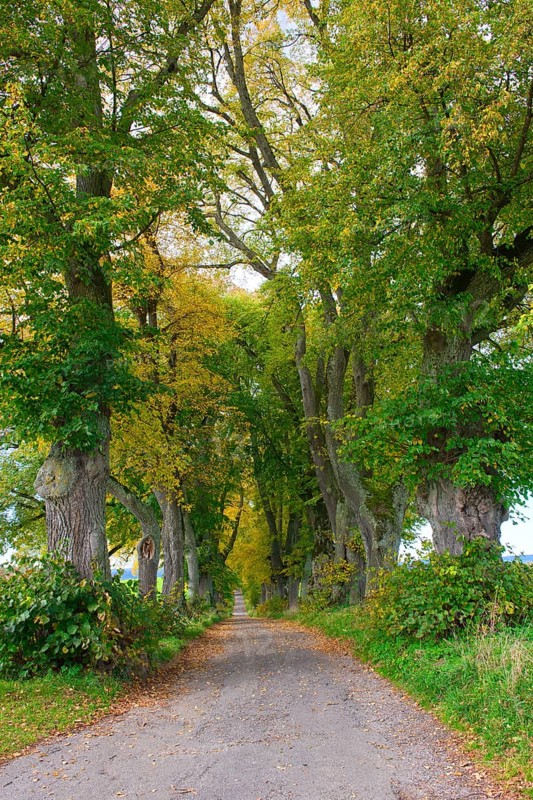 Kurfuerstenallee
