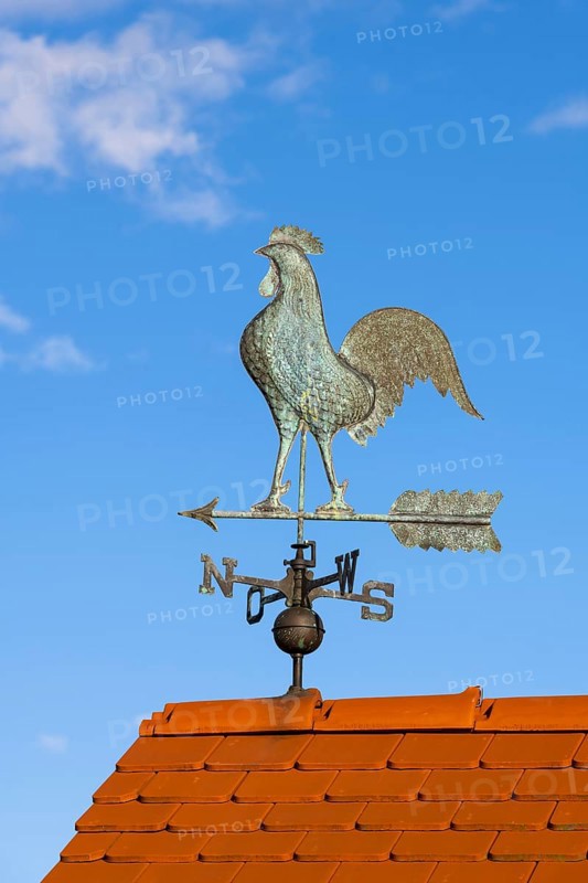 Weathercock with compass rose