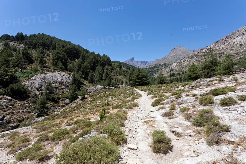 Hiking trail on former mule tracks in the mountains of Corsica